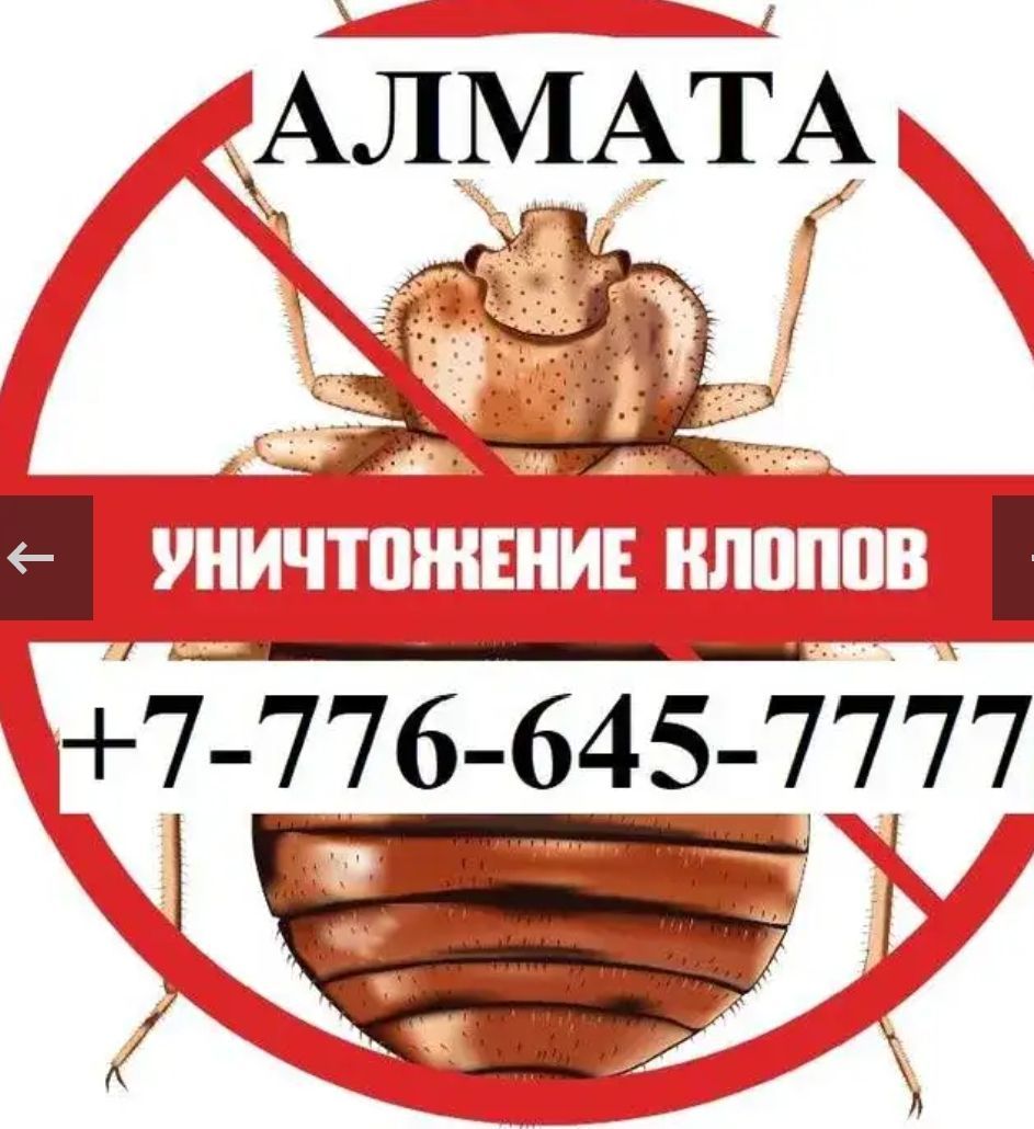 Дезинфекция